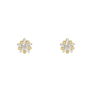Flowerburst Star Earrings